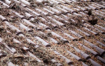 Tottleworth roof cleaning companies